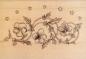 Preview: Motivstempel Blumen