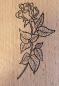 Preview: Motivstempel Rose