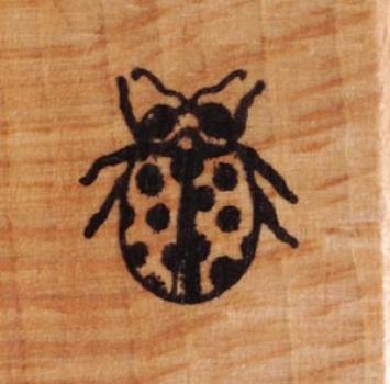 Motivstempel Marienkäfer