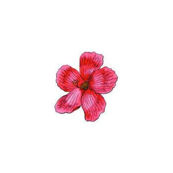 Motivstempel Hibiscus