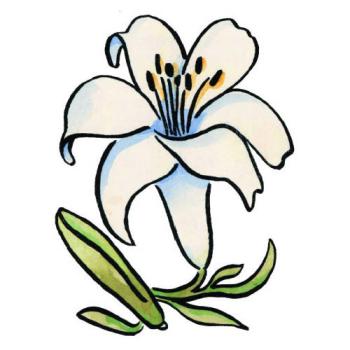 Motivstempel White Lily