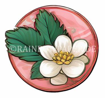 Erdbeer Sticker