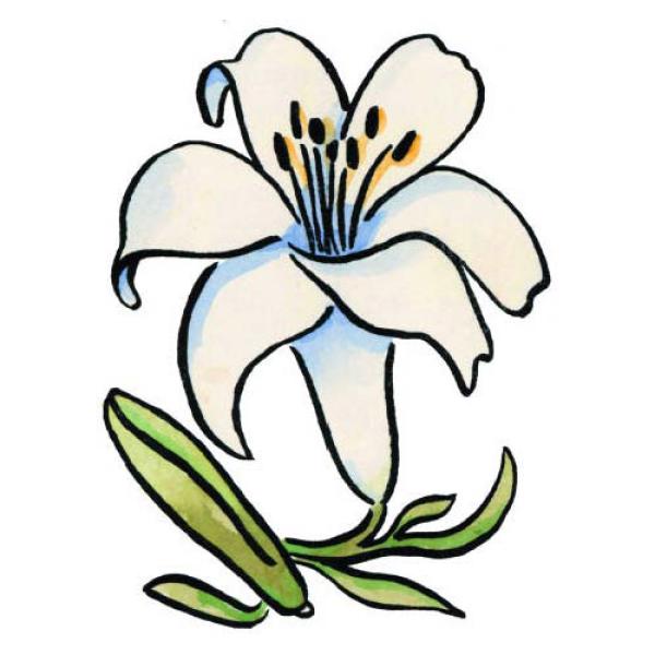 Motivstempel White Lily
